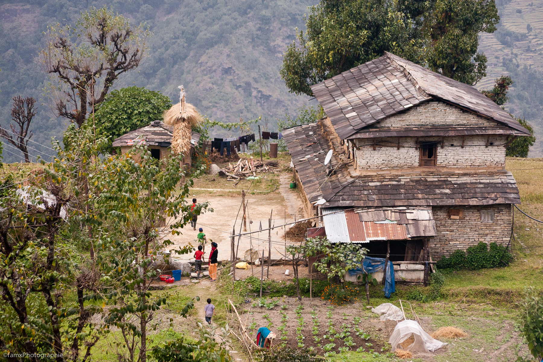 Népal, Sanctuaire des Annapurnas (Famx40d11_6115)
