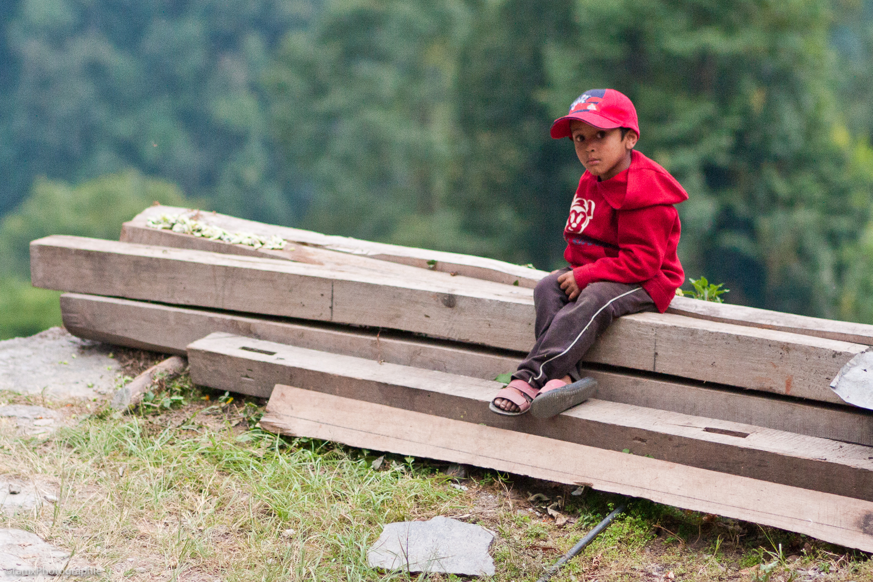 Jhinu Danda, Népal, Sanctuaire des Annapurnas (Famx40d11_6374)