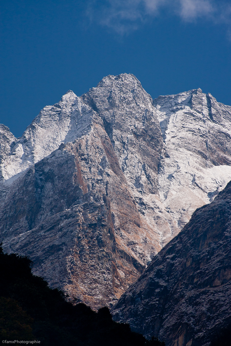 Népal, Sanctuaire des Annapurnas (Famx40d11_6479)