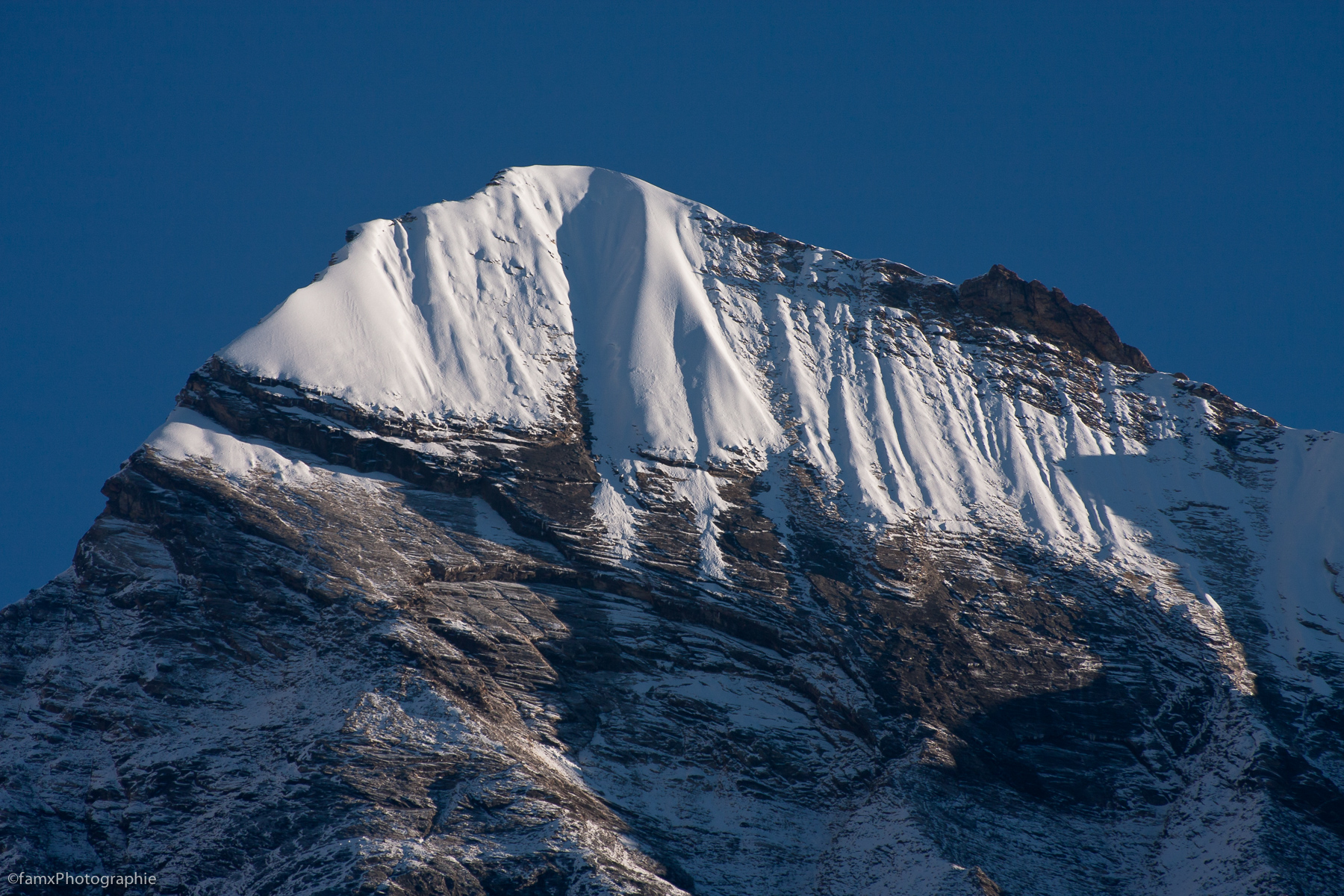 Annapurna Base Camp 4130m, Népal, Sanctuaire des Annapurnas (Famx40d11_6510)