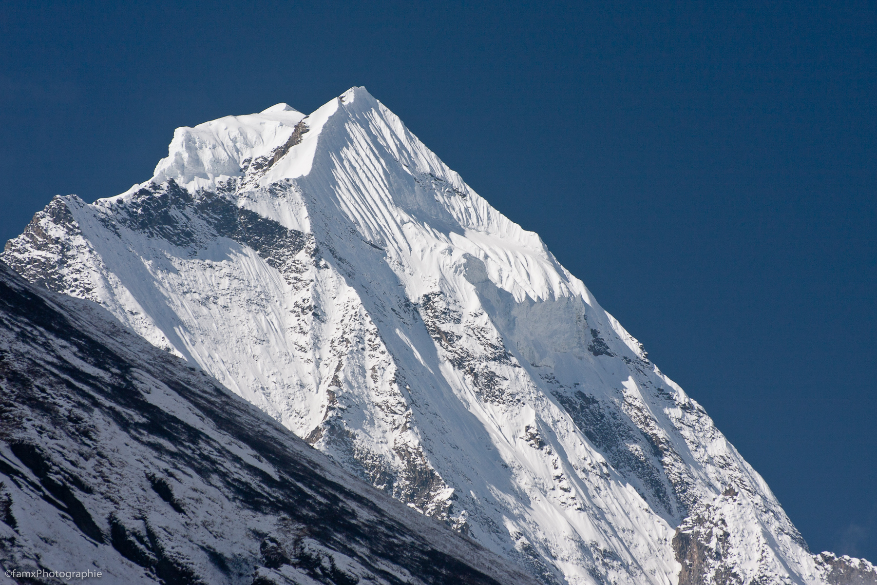 Népal, Sanctuaire des Annapurnas (Famx40d11_6532)