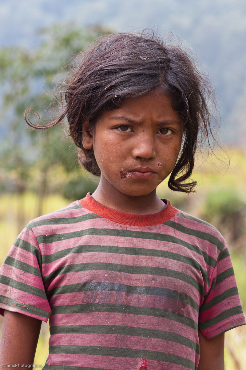 Népal, Sanctuaire des Annapurnas (Famx40d11_6745)
