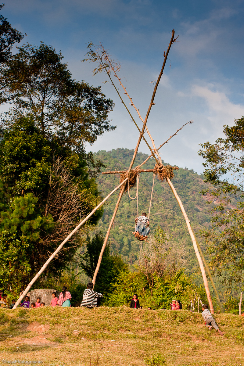 Népal, Sanctuaire des Annapurnas (Famx40dd11_4581)