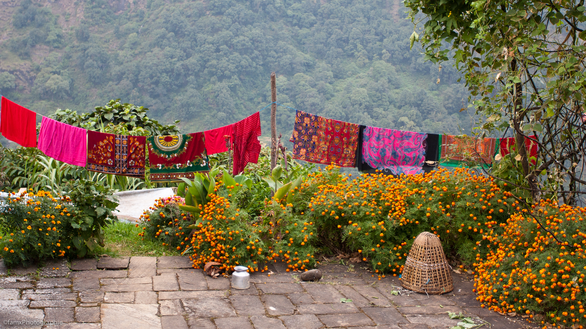 Landruk, Népal, Sanctuaire des Annapurnas (Famx40dd11_4854)
