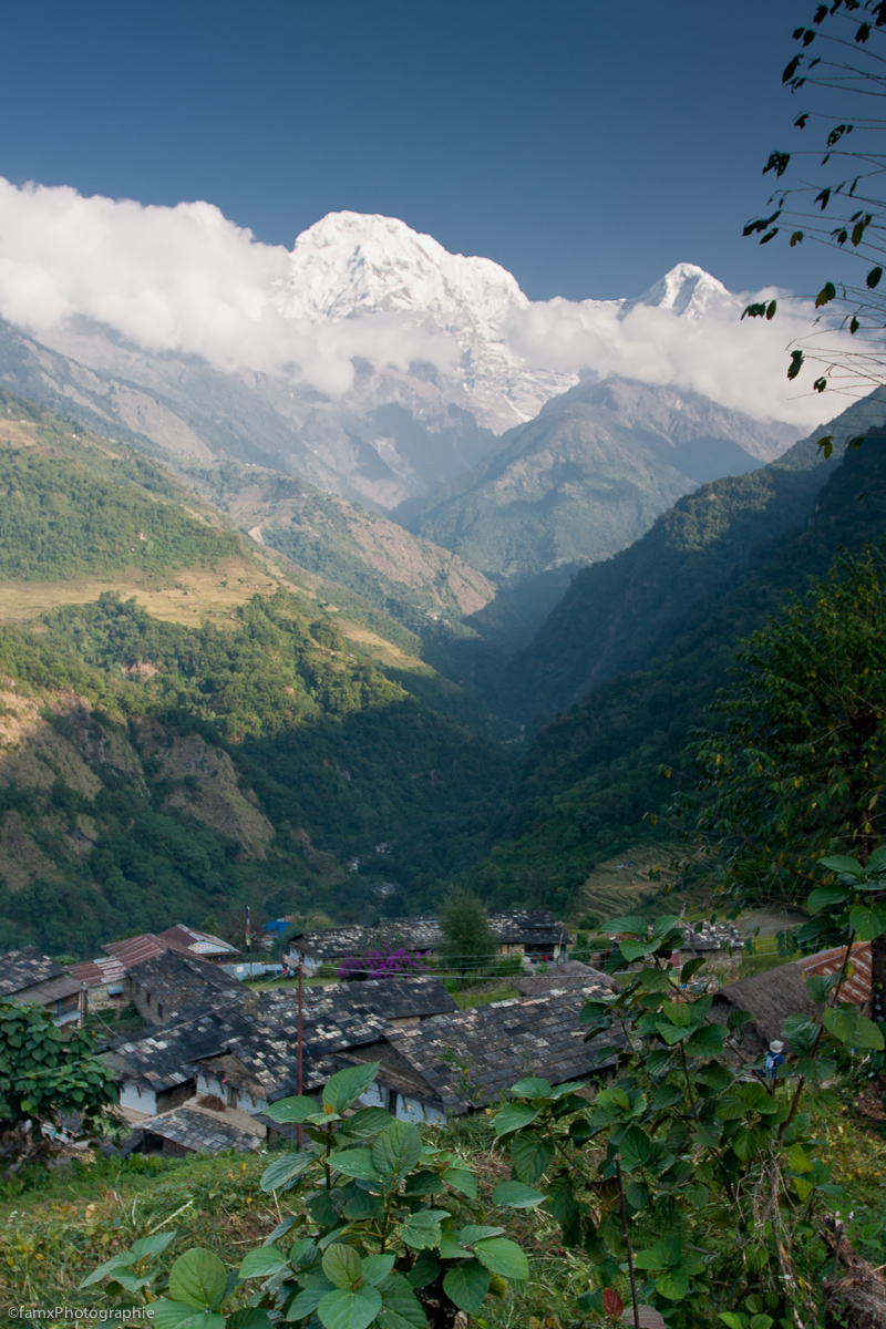 Landruk, Népal, Sanctuaire des Annapurnas (Famx40dd11_4926)