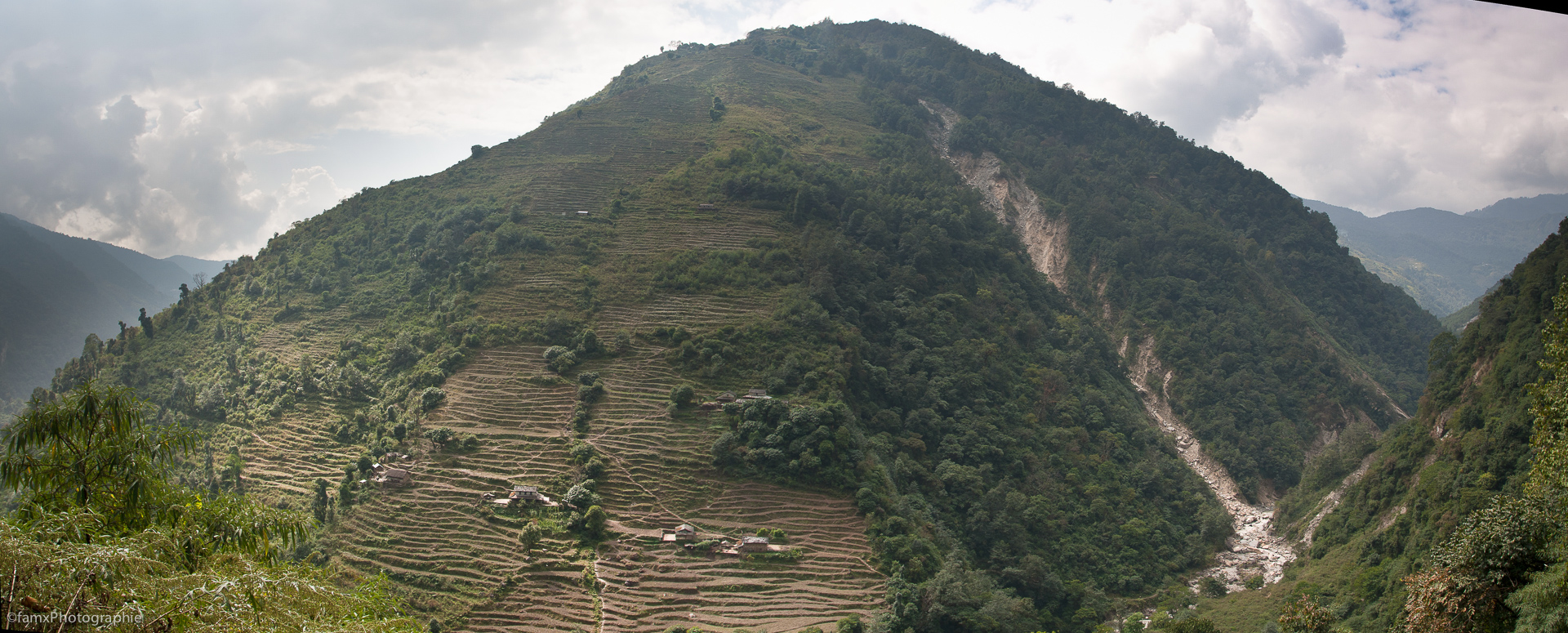 Cultures en terrasses, Népal, Sanctuaire des Annapurnas (Famx40dd11_5026-7)