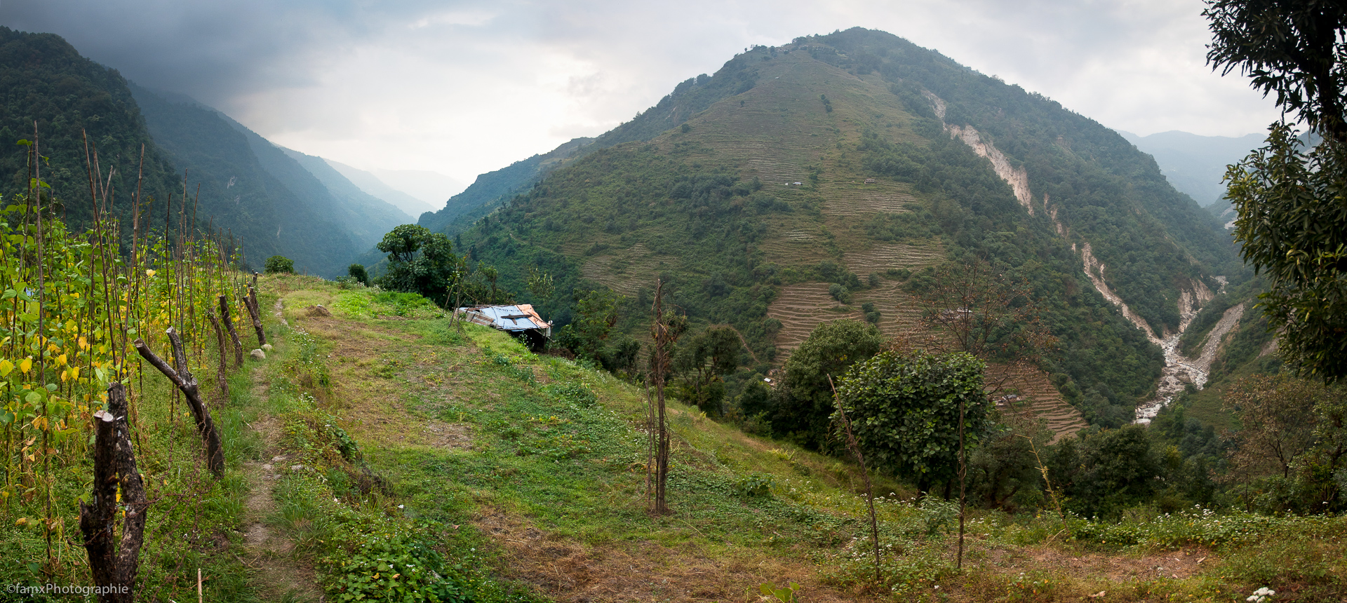 Jhinu Danda, Népal, Sanctuaire des Annapurnas (Famx40dd11_5097-101)