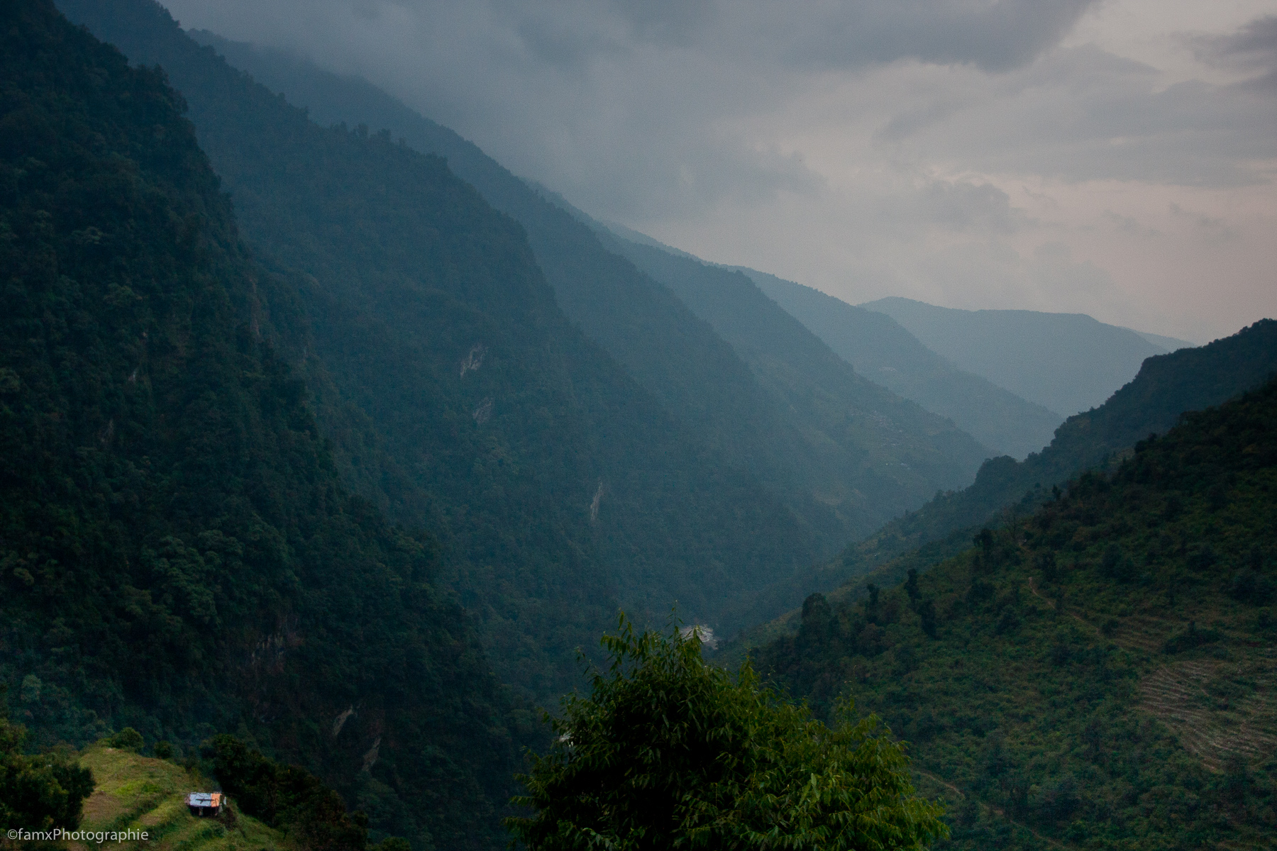 Jhinu Danda, Népal, Sanctuaire des Annapurnas (Famx40dd11_5114)