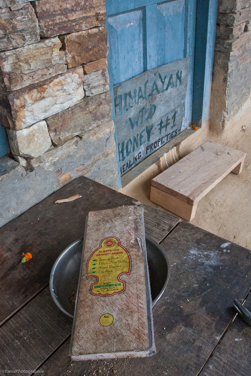 Népal, Sanctuaire des Annapurnas (Famx40dd11_5147)