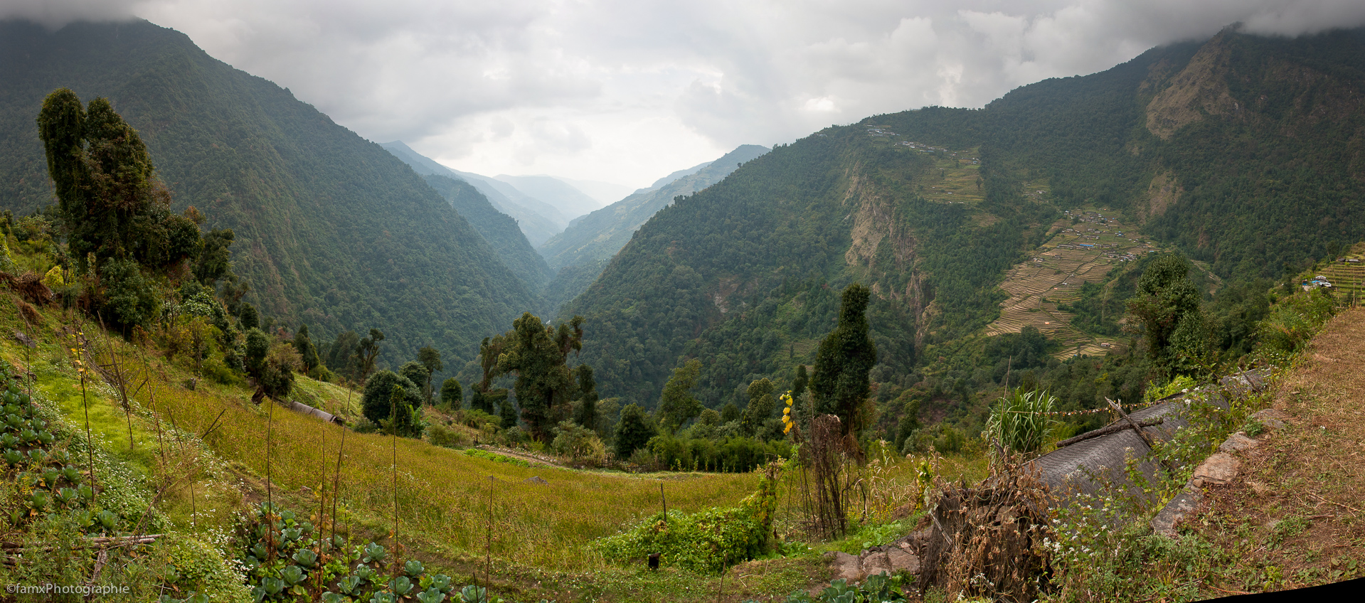 Népal, Sanctuaire des Annapurnas (Famx40dd11_5243-8)