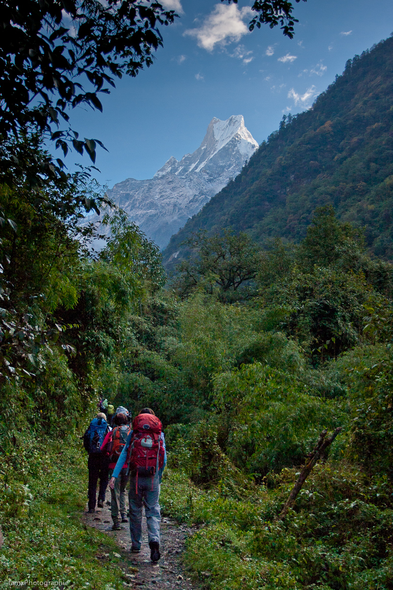 Machapuchare 6993m, Népal, Personnage, Sanctuaire des Annapurnas (Famx40dd11_5297)