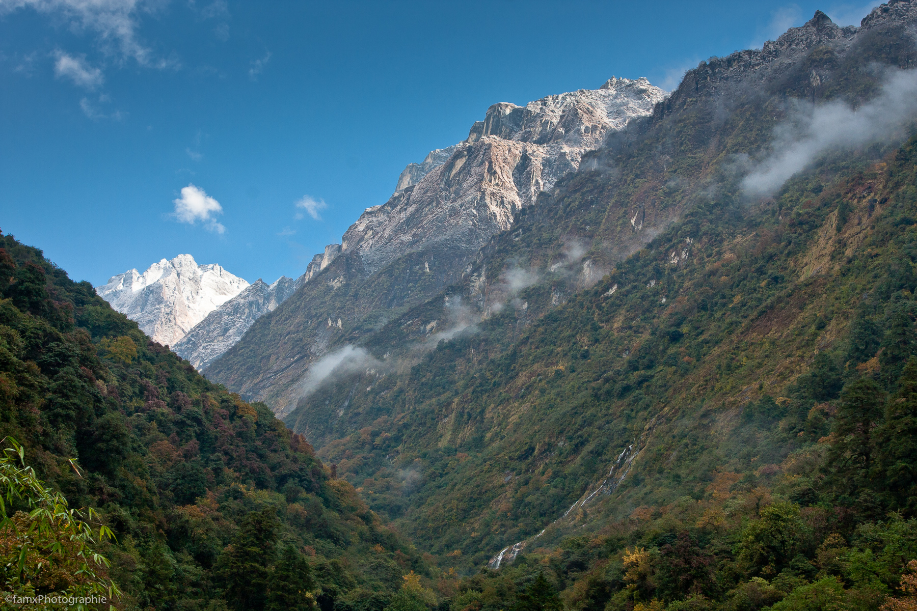 Népal, Sanctuaire des Annapurnas (Famx40dd11_5341)