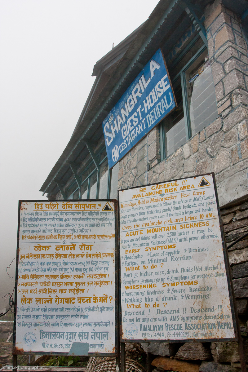 Deurali 3200, Népal, Sanctuaire des Annapurnas (Famx40dd11_5411)