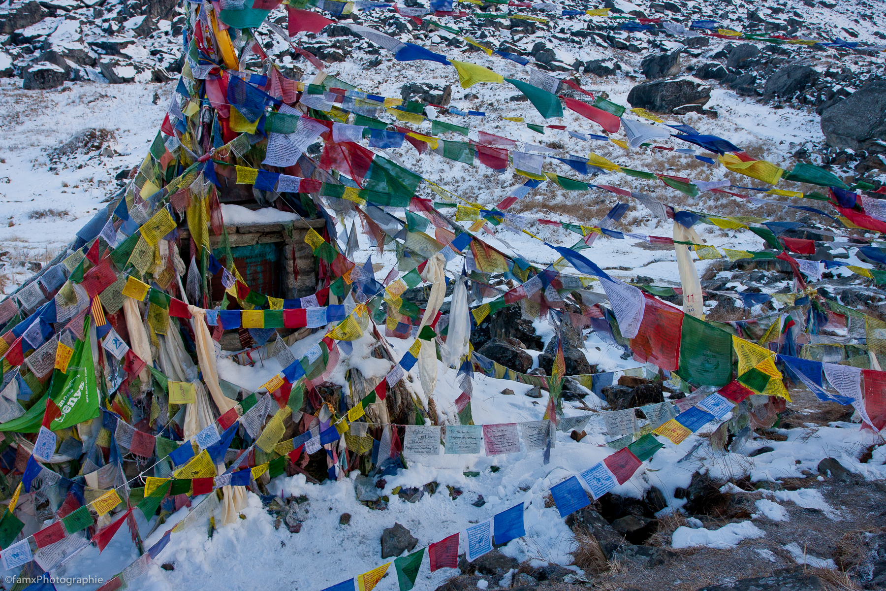 Annapurna Base Camp 4130m, Népal, Sanctuaire des Annapurnas (Famx40dd11_5617)