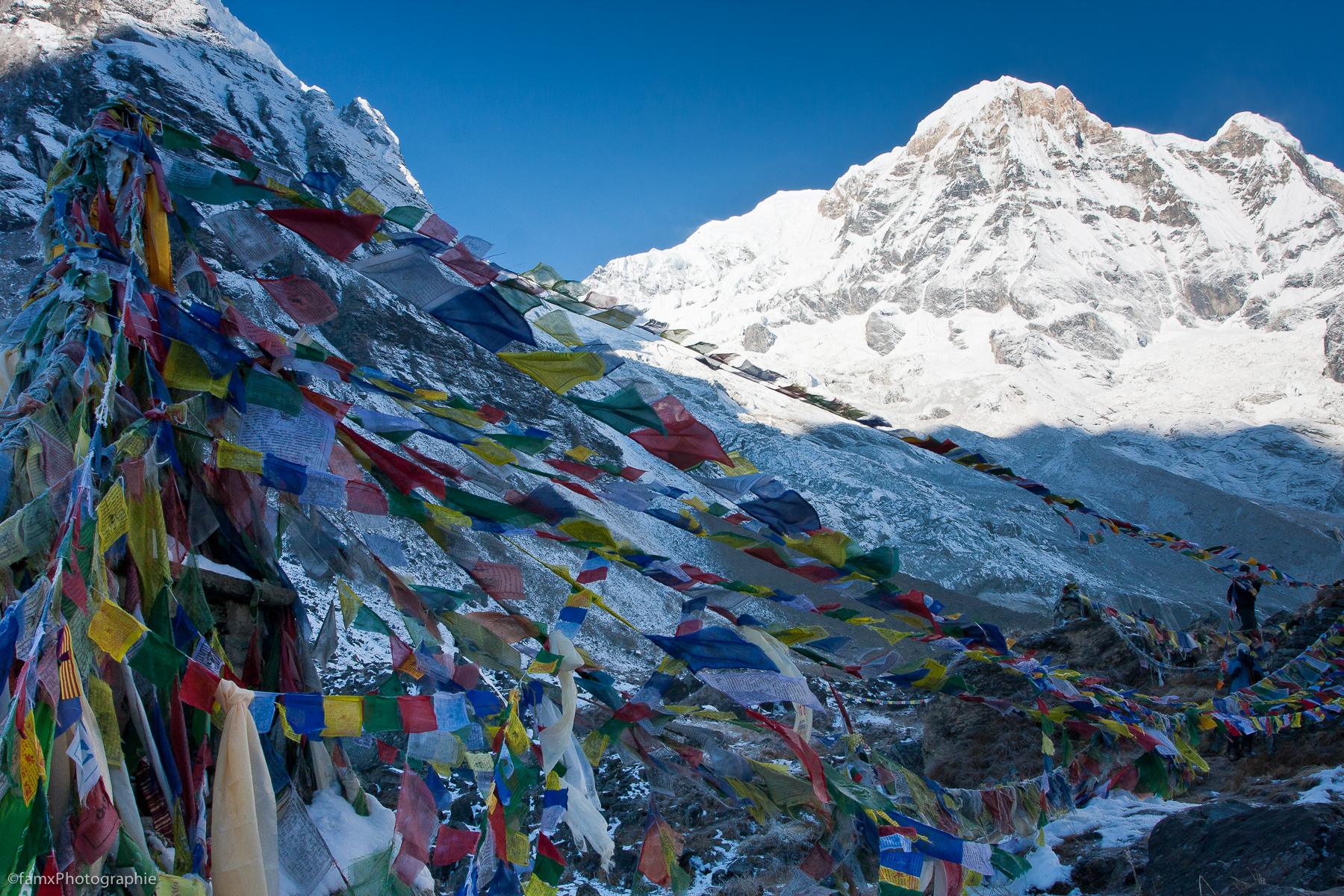Annapurna Base Camp 4130m, Népal, Sanctuaire des Annapurnas (Famx40dd11_5618)
