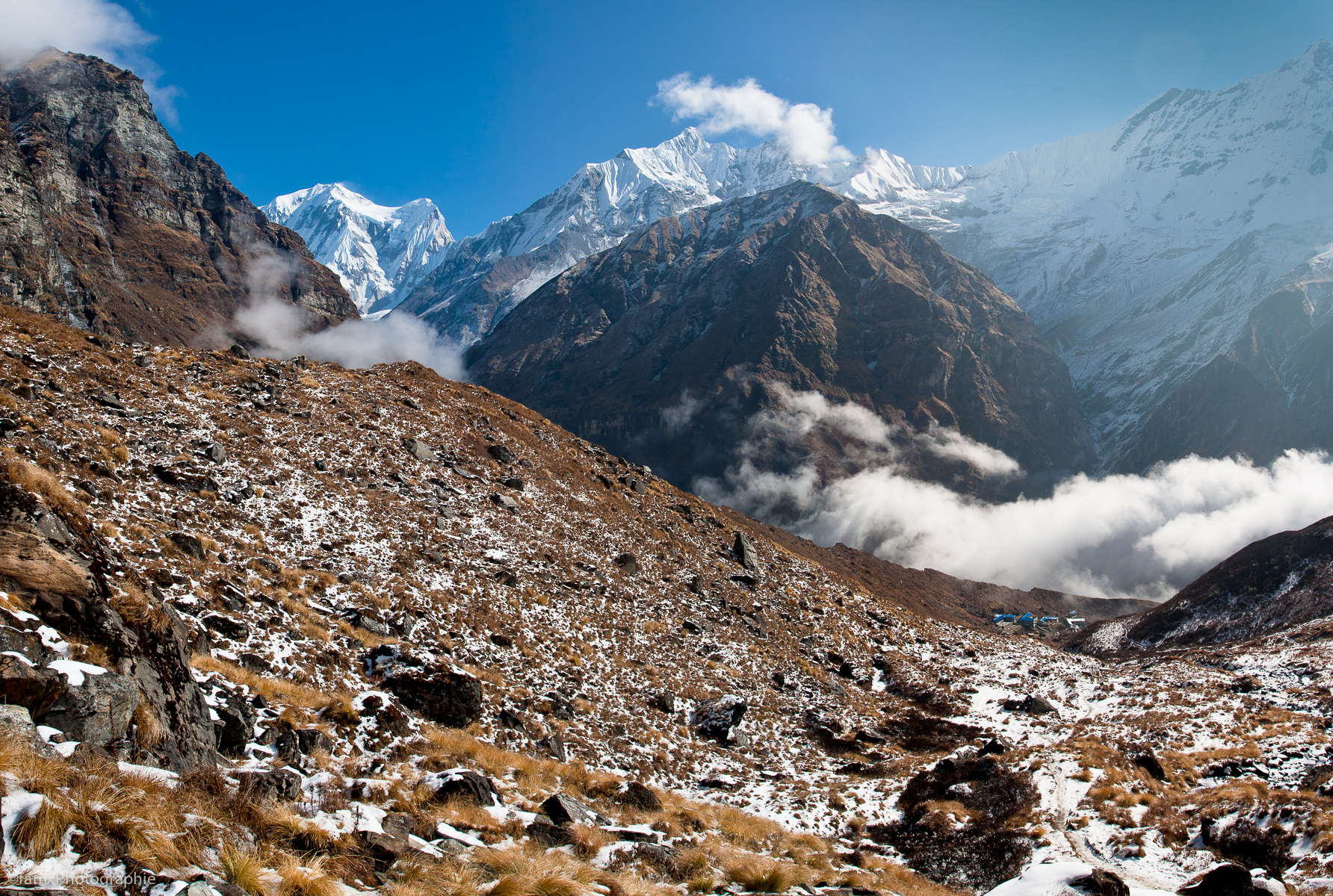 Népal, Sanctuaire des Annapurnas (Famx40dd11_5652-4)