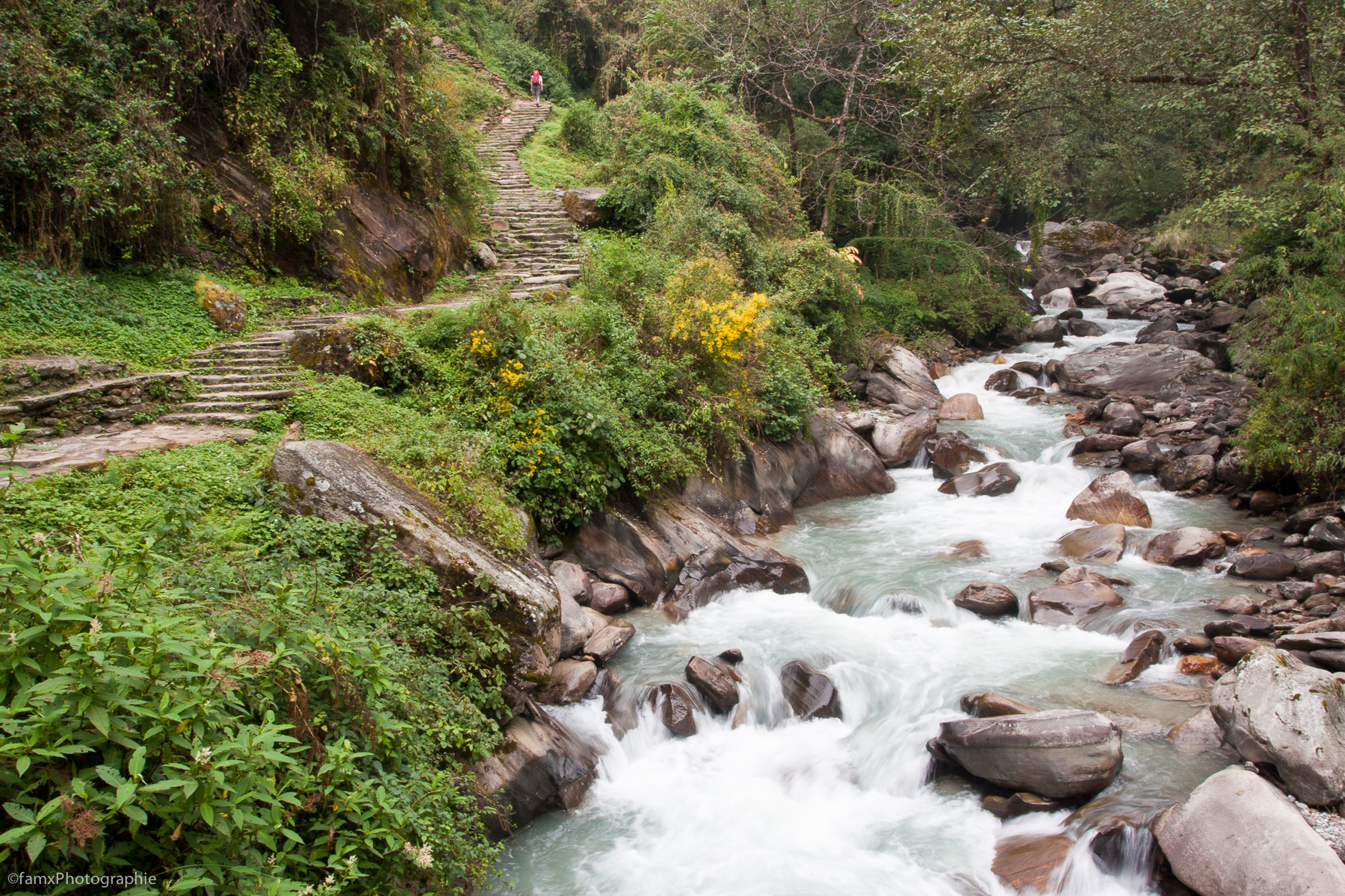 Eaux, Népal, Sanctuaire des Annapurnas (Famx40dd11_5760)