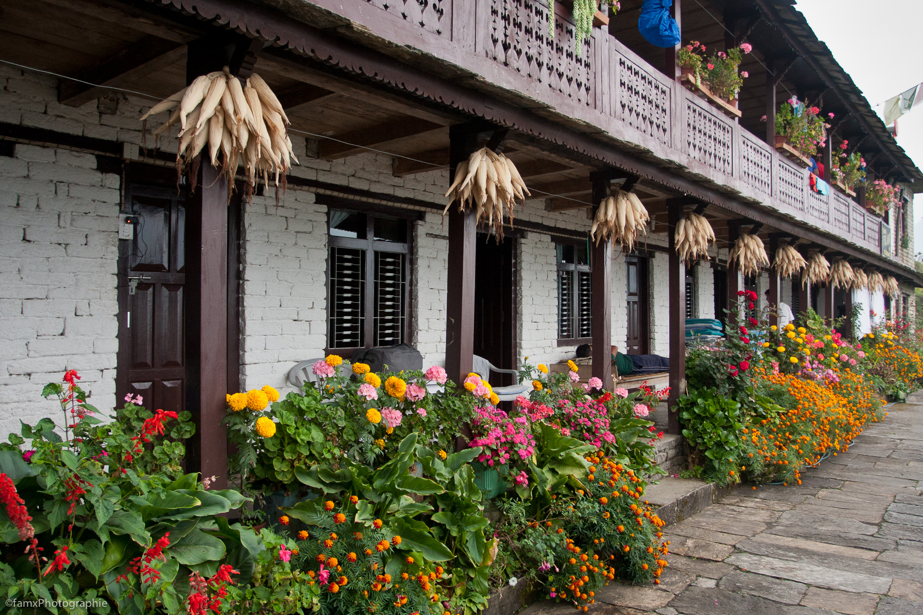Ghandruk, Népal, Sanctuaire des Annapurnas (Famx40dd11_5996)