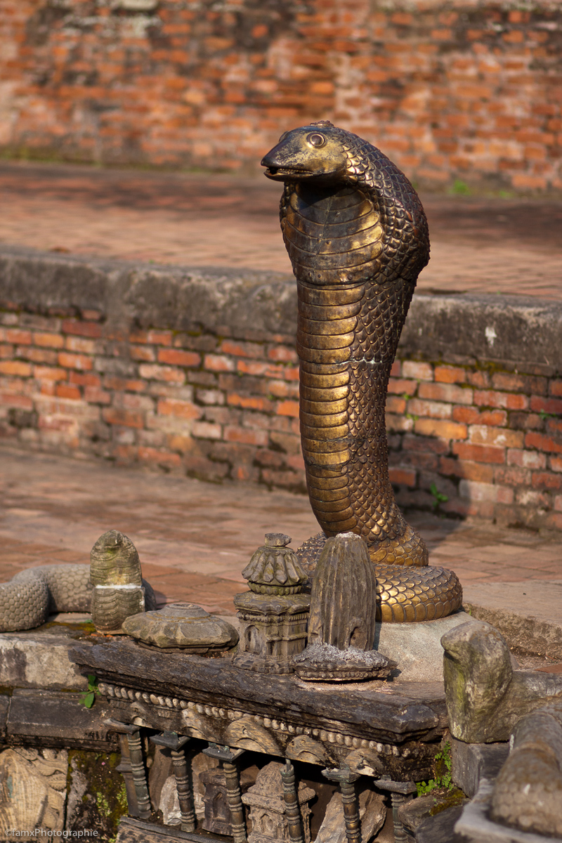 Bhaktapur, Népal (Famx40d11_6877)