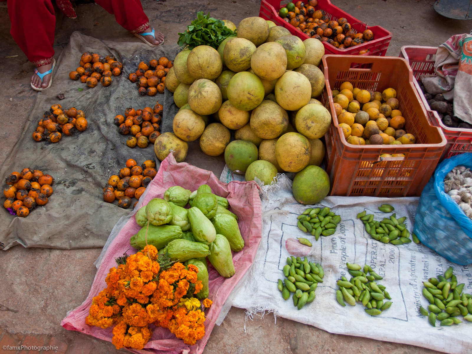 Bhaktapur, Marché, Népal (Famx40dd11_6641)