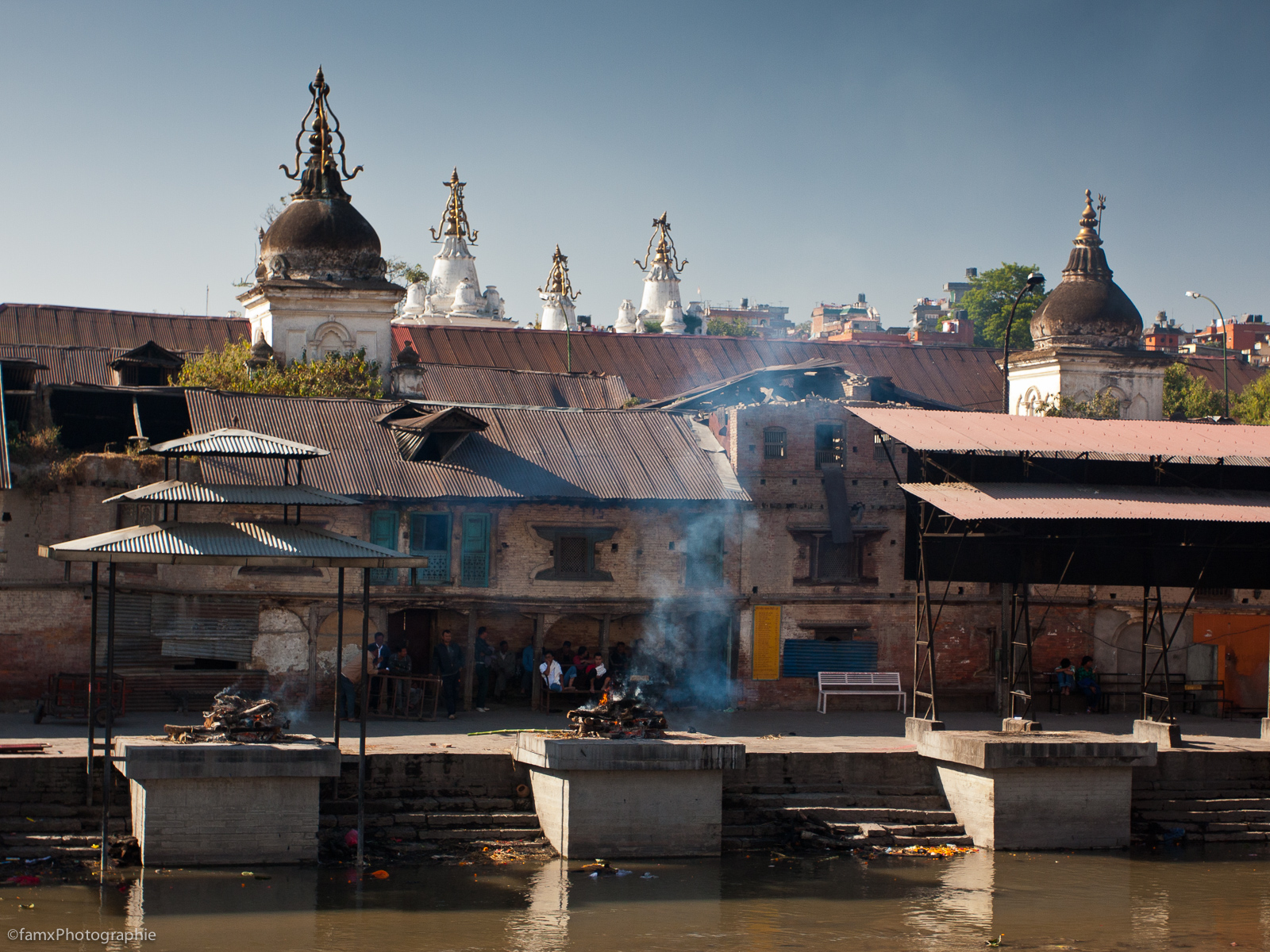Népal, Pashupatinath (Famx40dd11_7155)