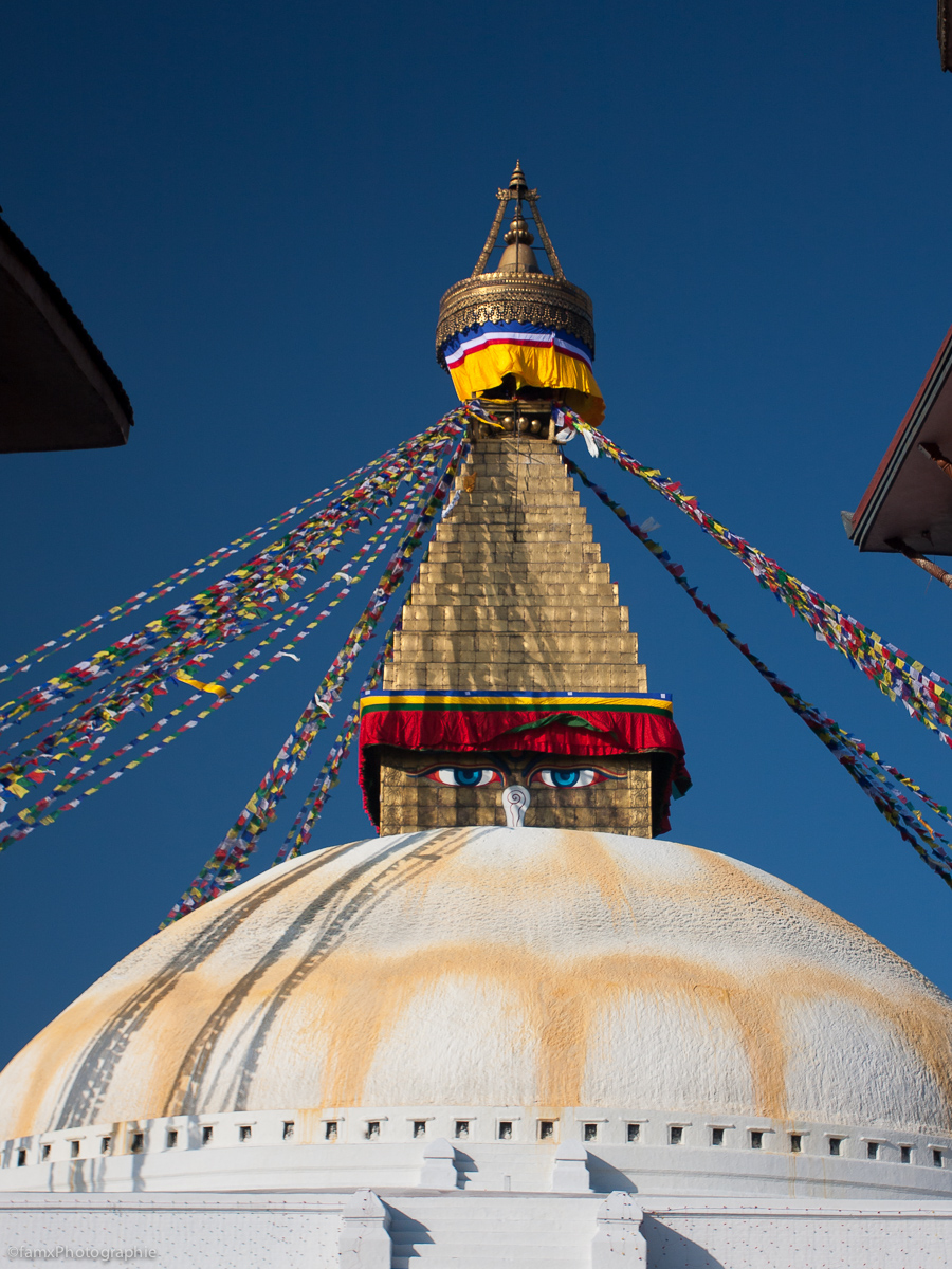 Népal, Stupa de Bodnath, Temple (Famx40dd11_7181)