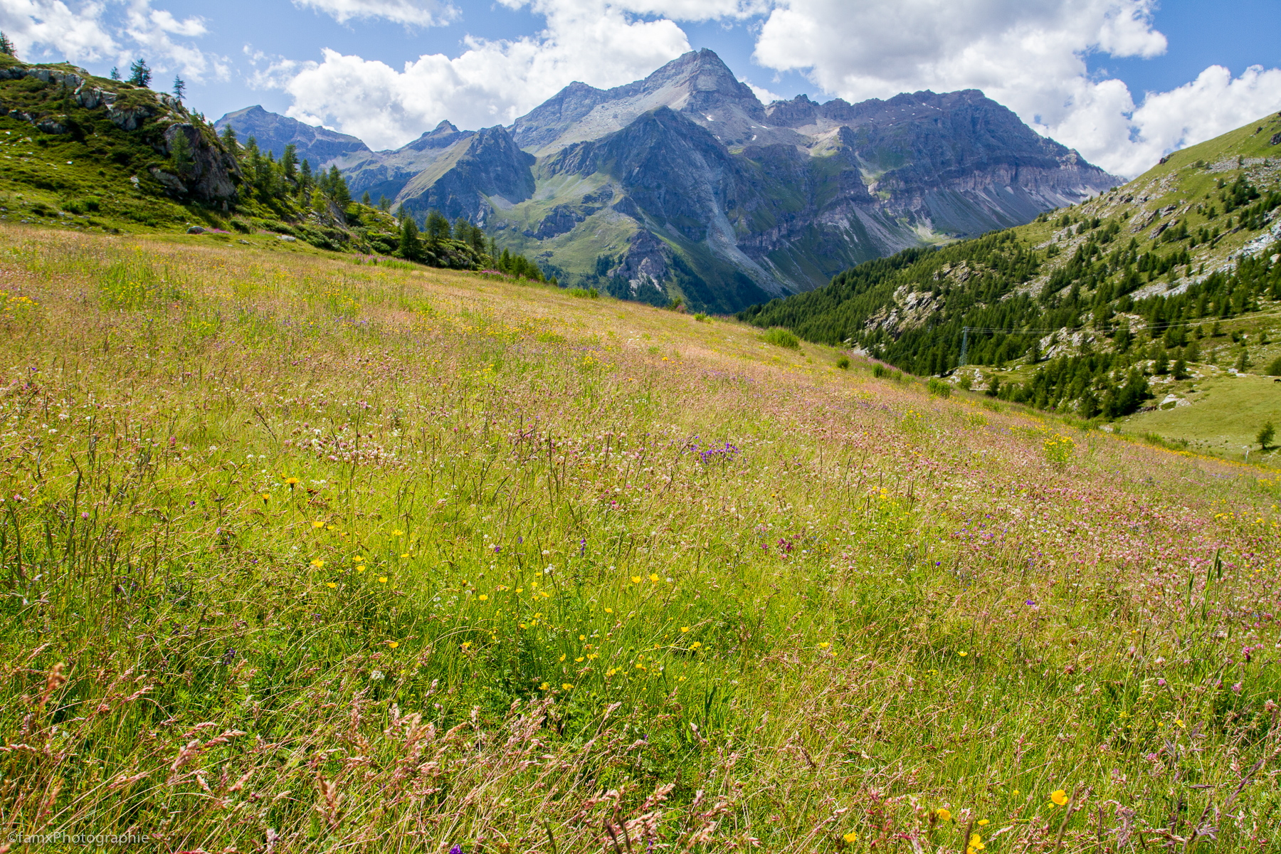 Alpes, Italie, Val d'Aoste (Famx7d19_32105)