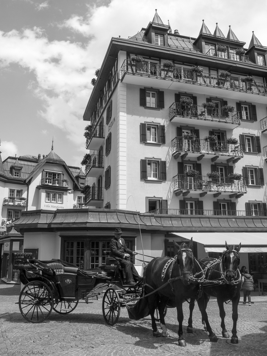 Alpes, Cheval, Noir & blanc, Suisse, Valais (Famx7d19_32325)
