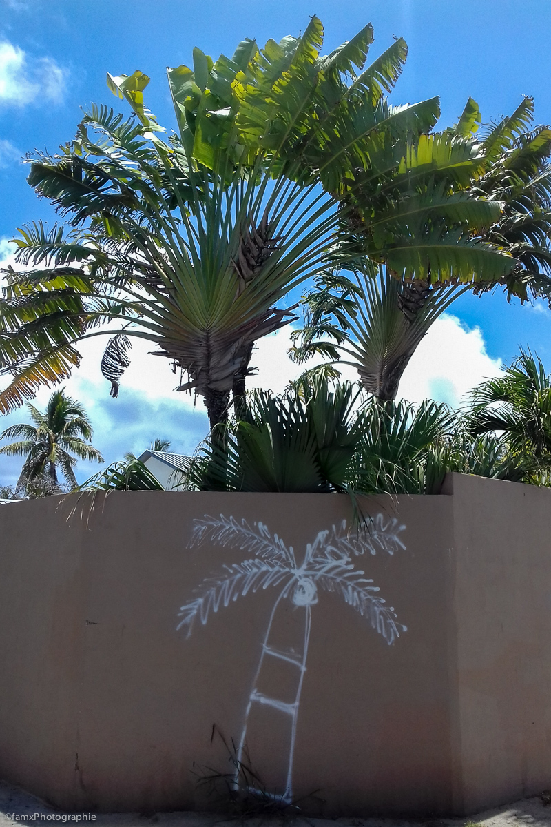 La Réunion (Famx3J19_1105_113242)