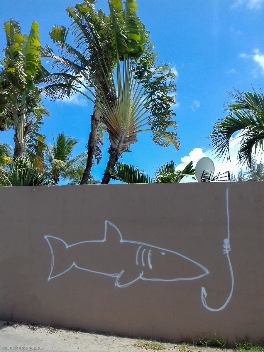 La Réunion (Famx3J19_1105_113302)