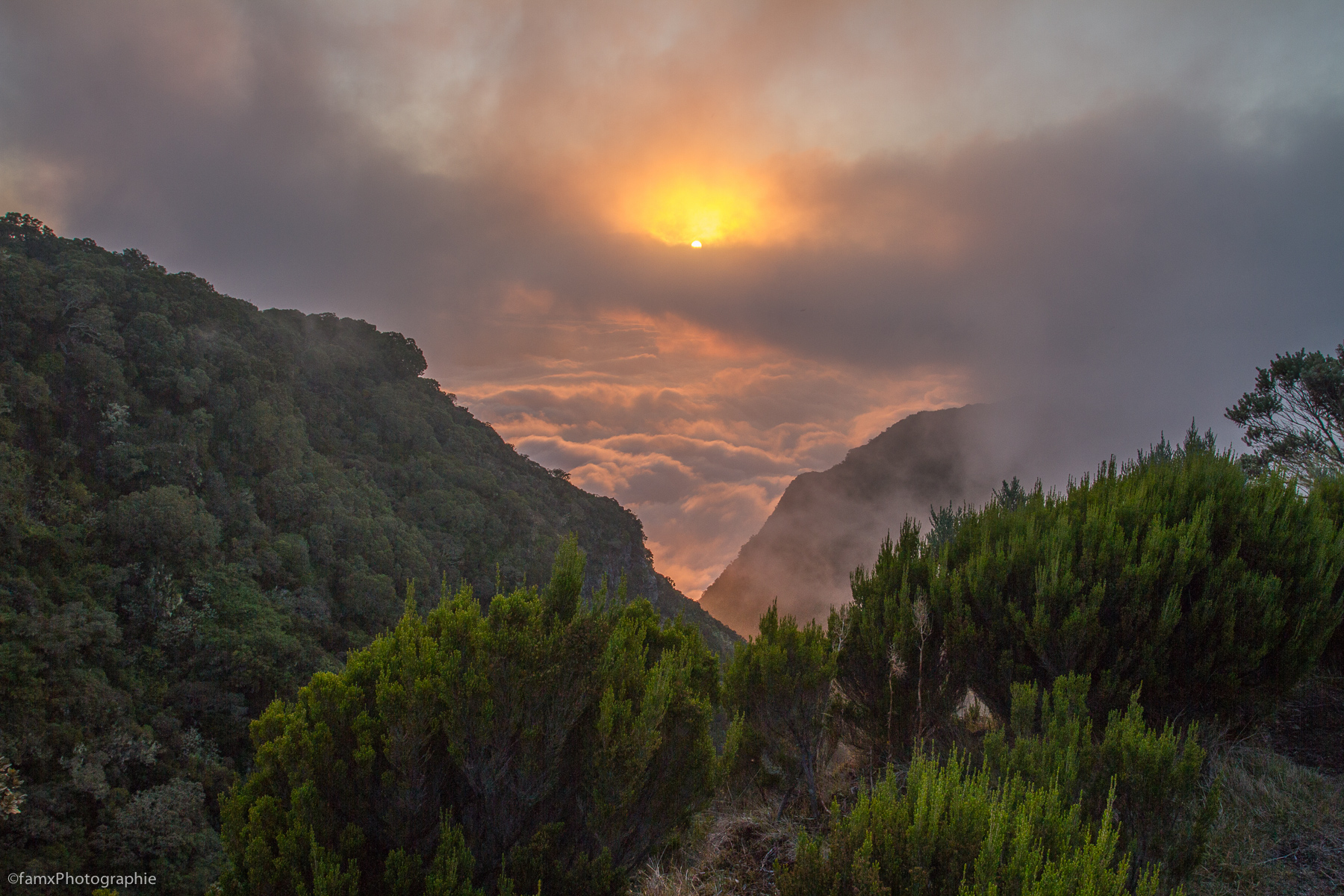 La Réunion (Famx7d19_32556)