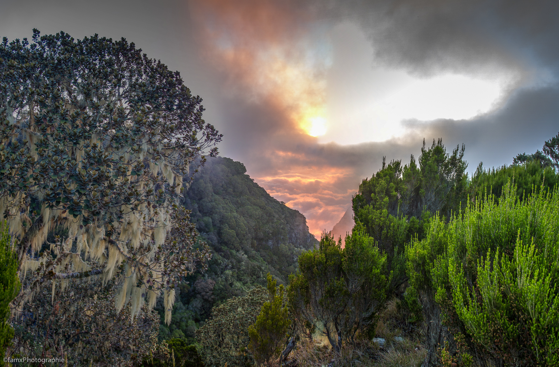 La Réunion (Famx7d19_32557-9)