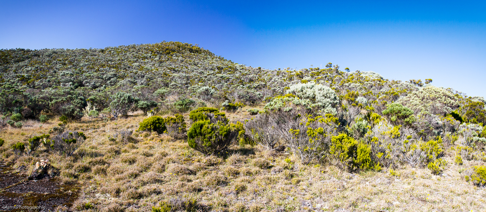 La Réunion (Famx7d19_32578-9)