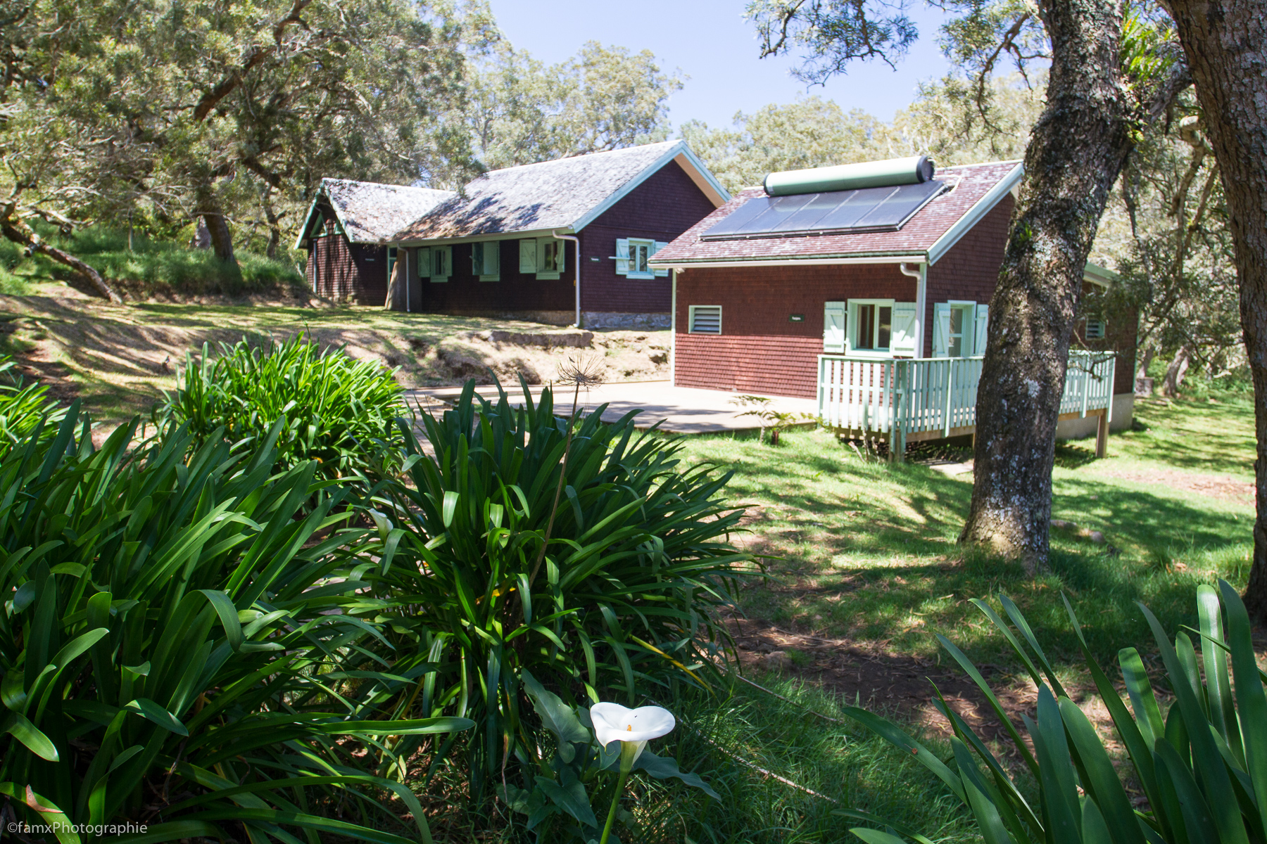 La Réunion (Famx7d19_32609)