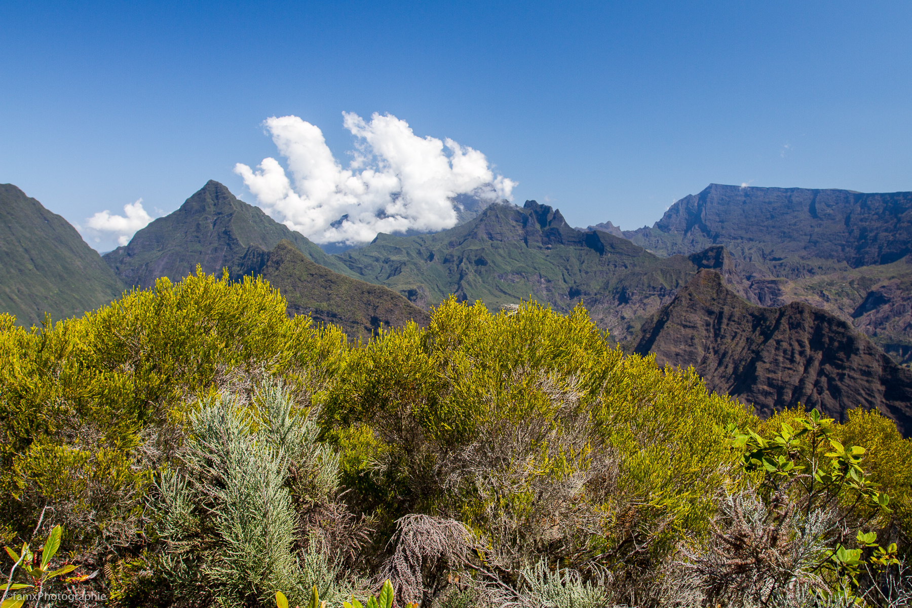 La Réunion (Famx7d19_32619)