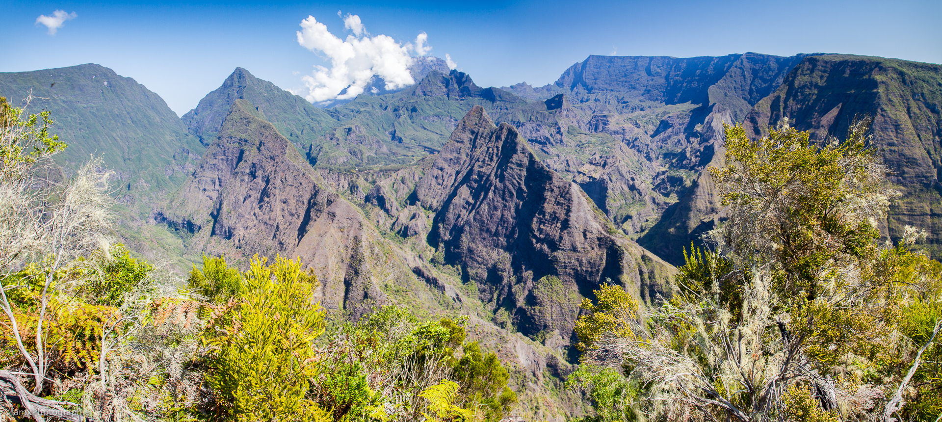 La Réunion (Famx7d19_32624-5)