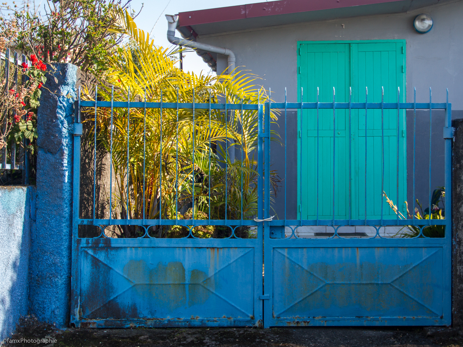 La Réunion (Famx7d19_32634)