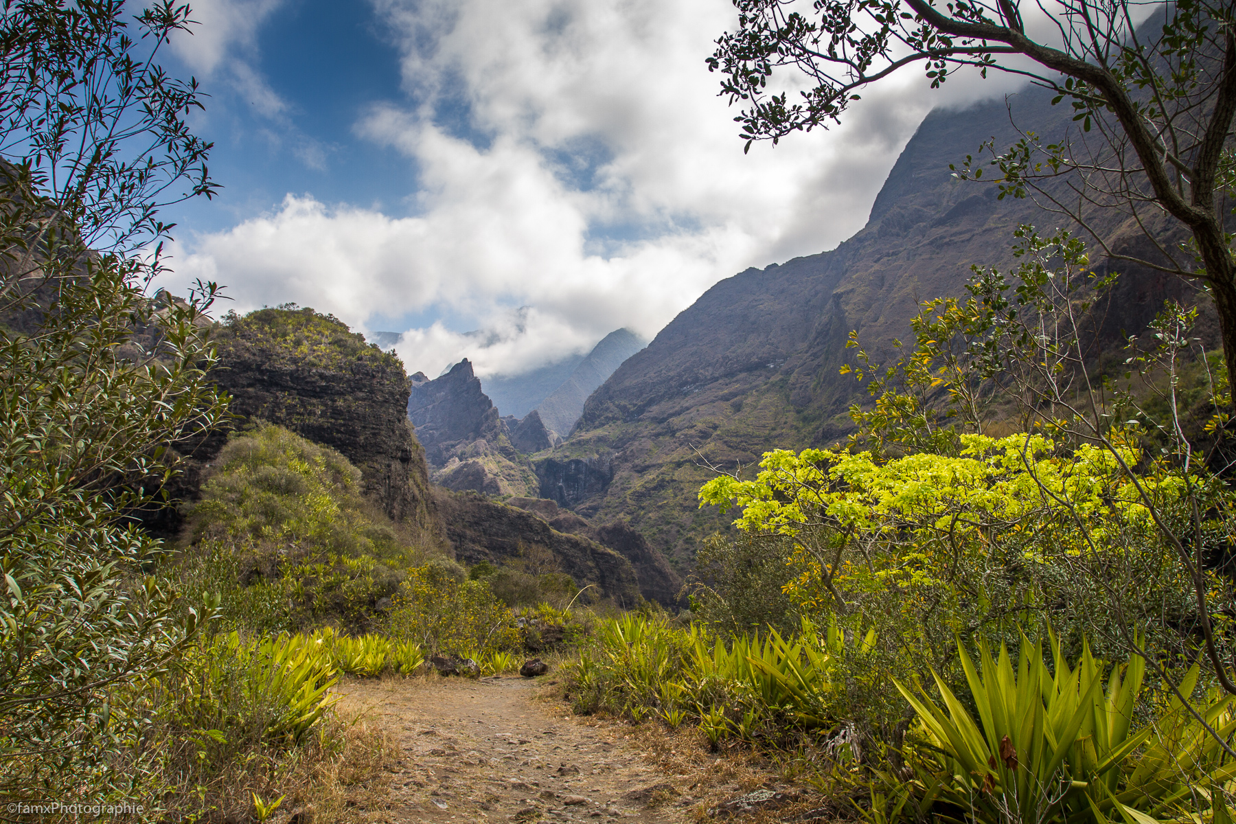 La Réunion (Famx7dd19_7842)