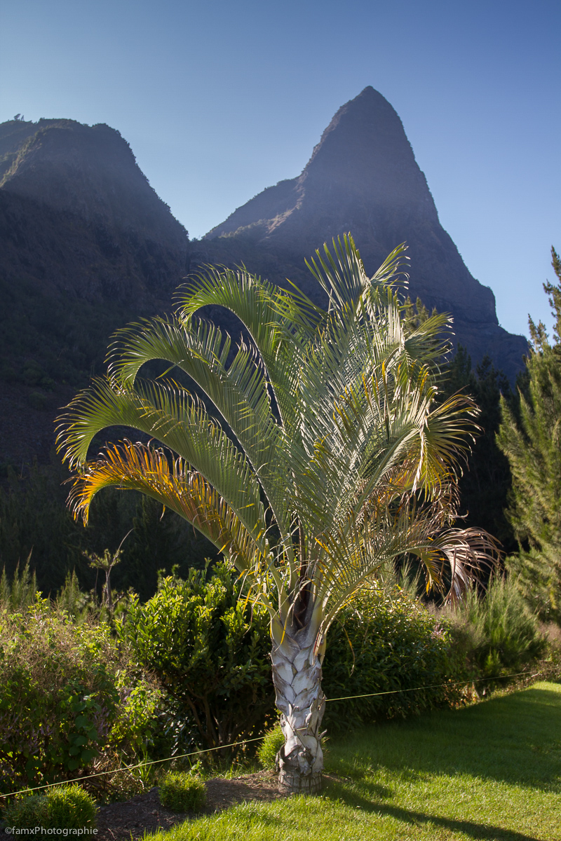 La Réunion (Famx7dd19_7860)
