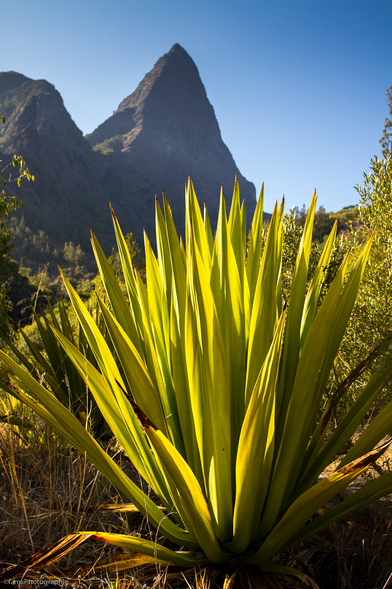 La Réunion (Famx7dd19_7867)