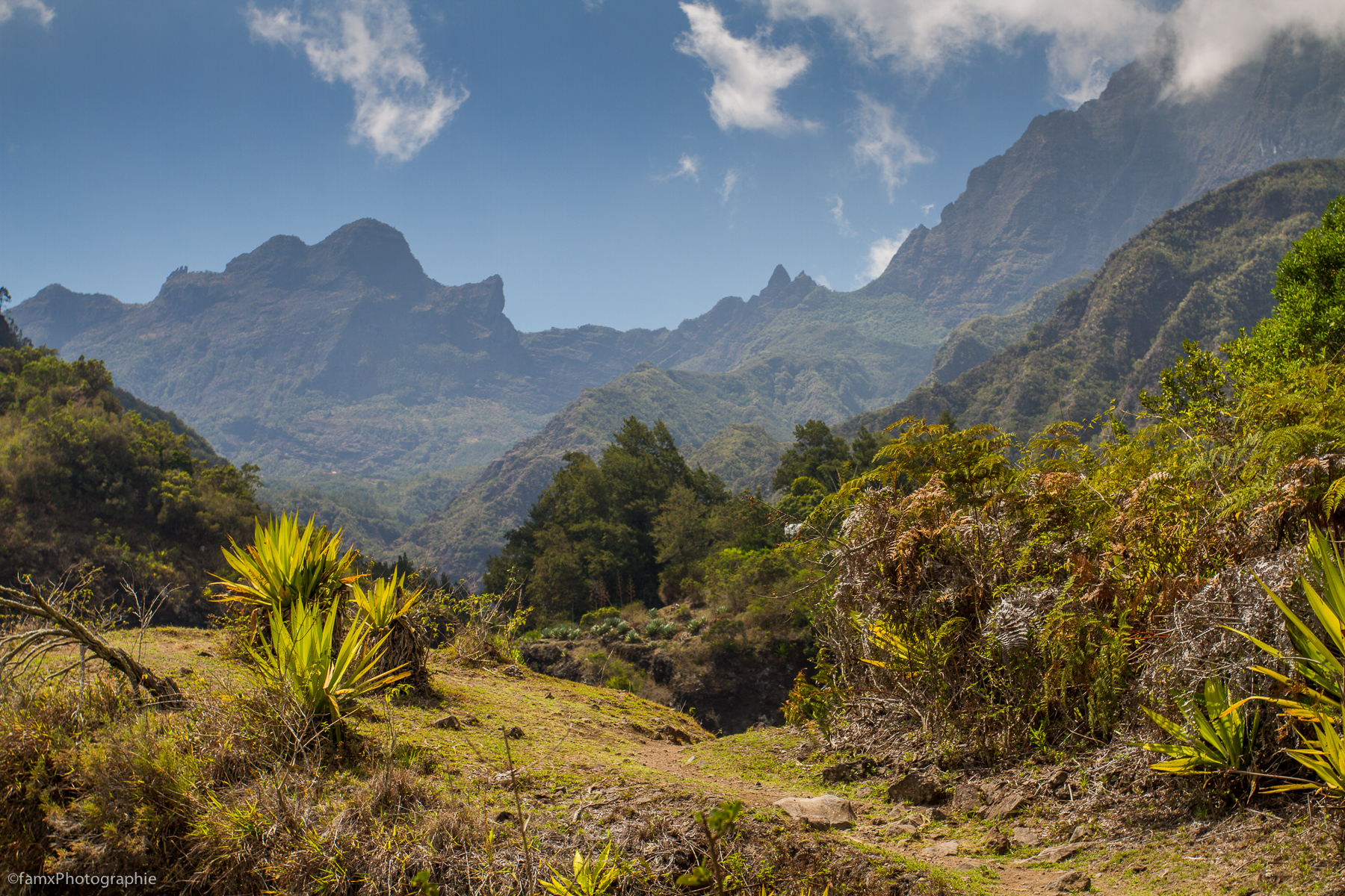 La Réunion (Famx7dd19_7924)