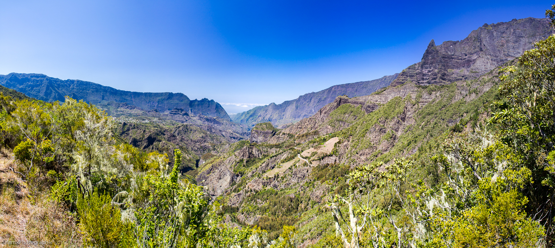 La Réunion (Famx7dd19_7979-84)