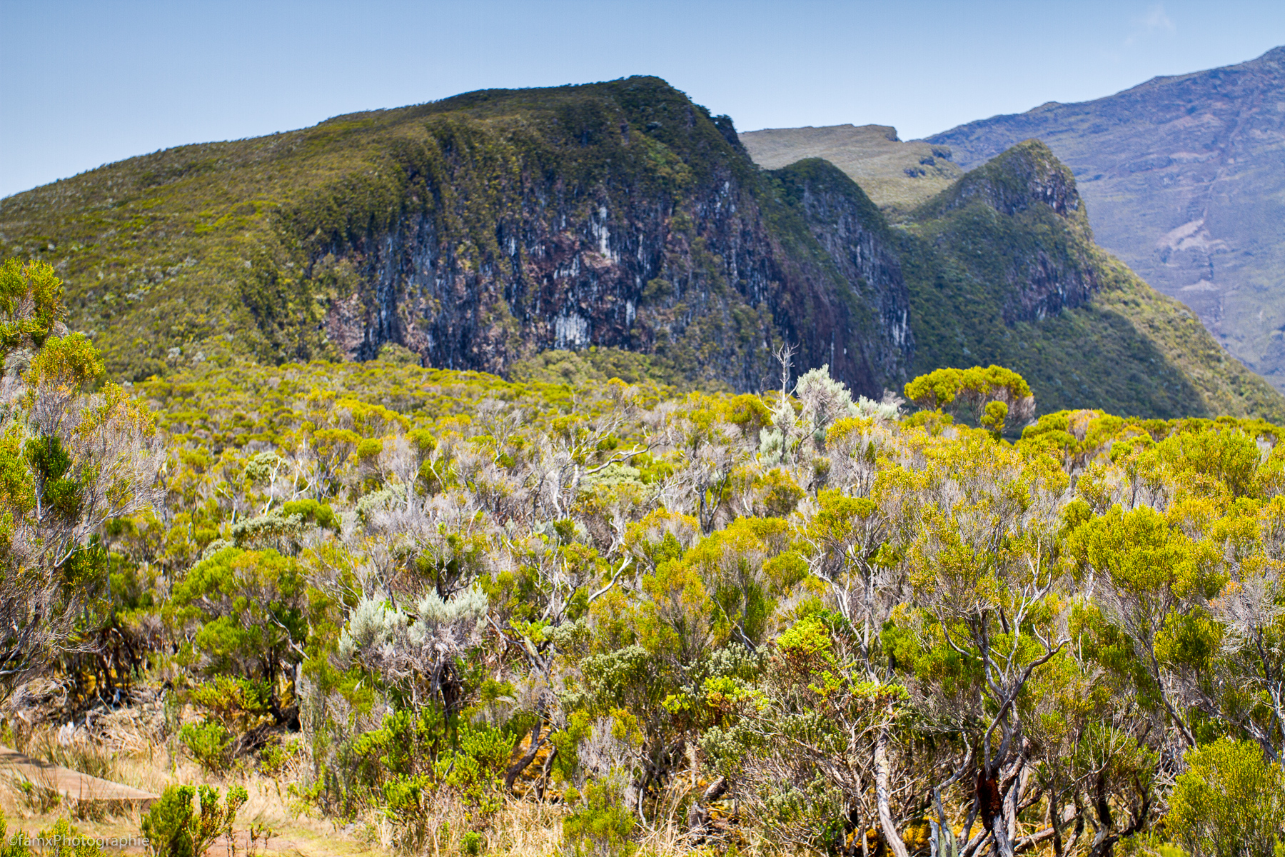 La Réunion (Famx7dd19_8097)