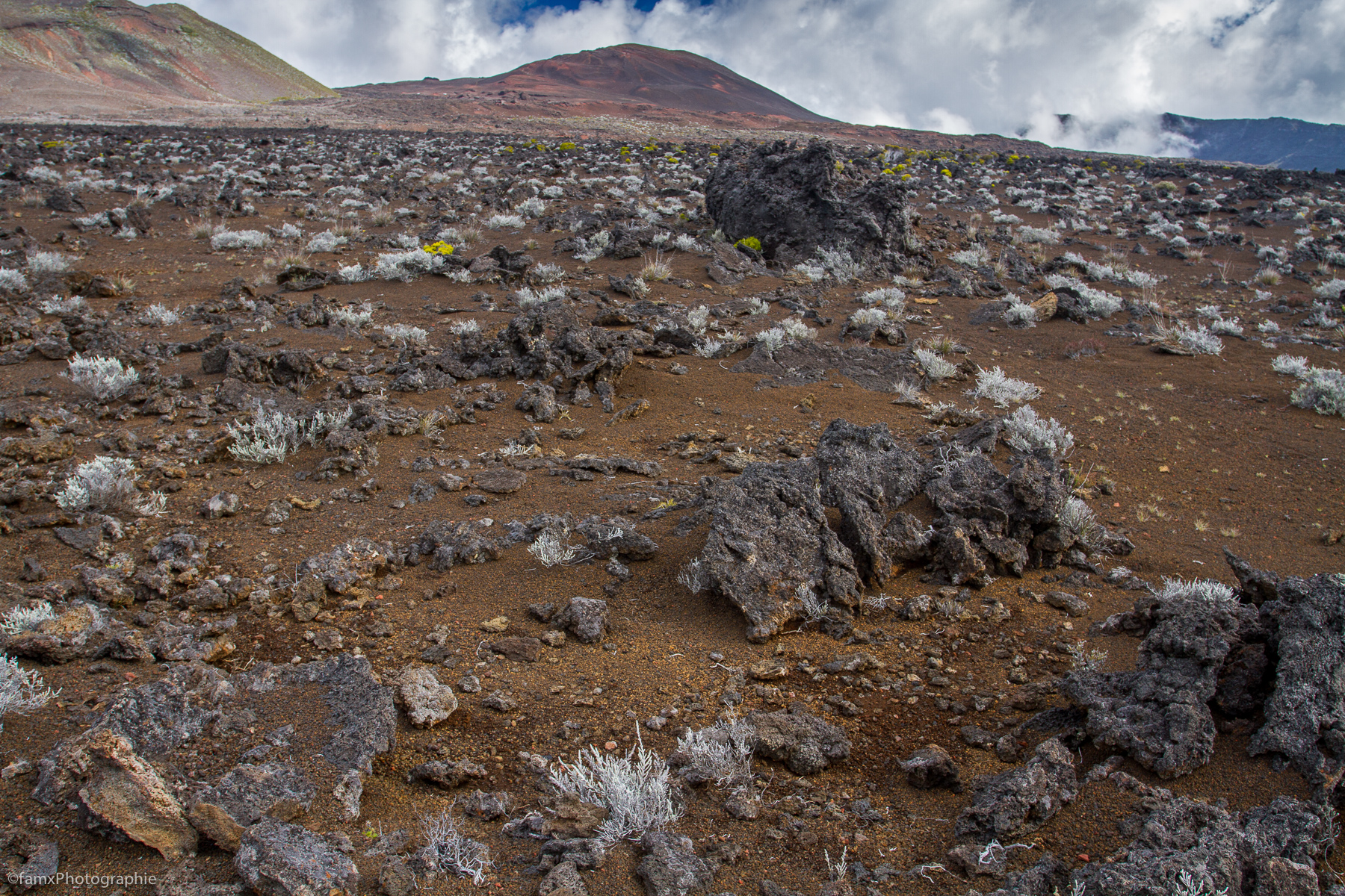 La Réunion (Famx7dd19_8131)