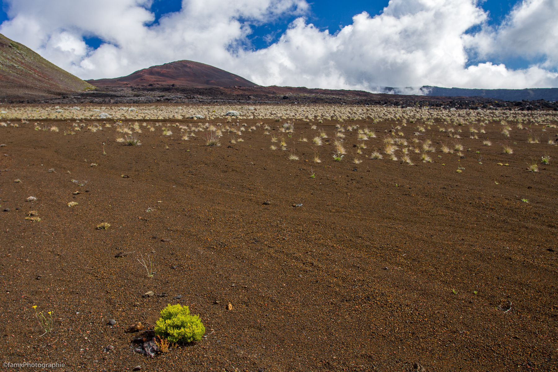 La Réunion (Famx7dd19_8134)