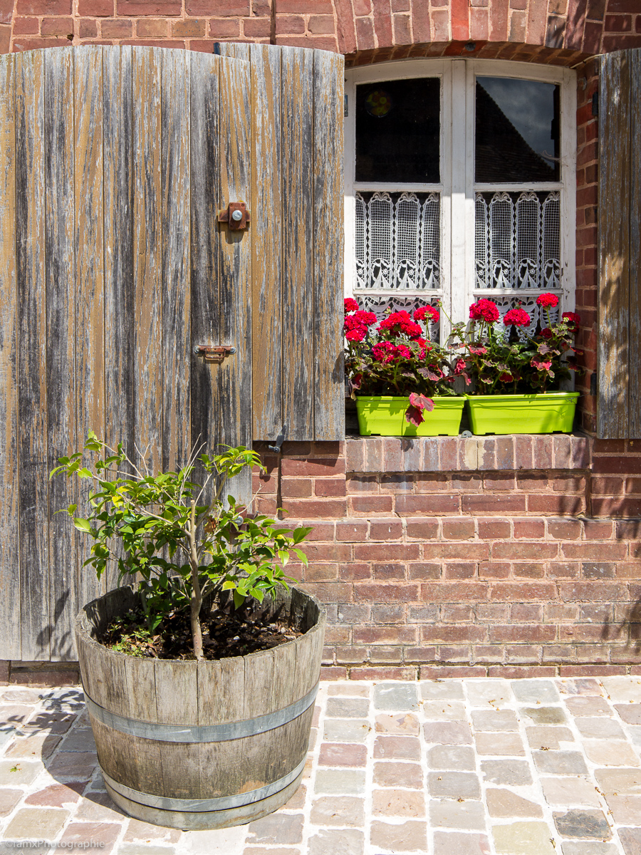Détail, France (Famx7dd20_9062)