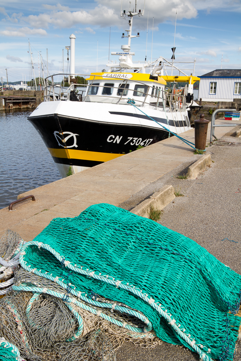 Chalutier, Filet & casier, France, Honfleur, Pêche (Famx7dd20_9086)