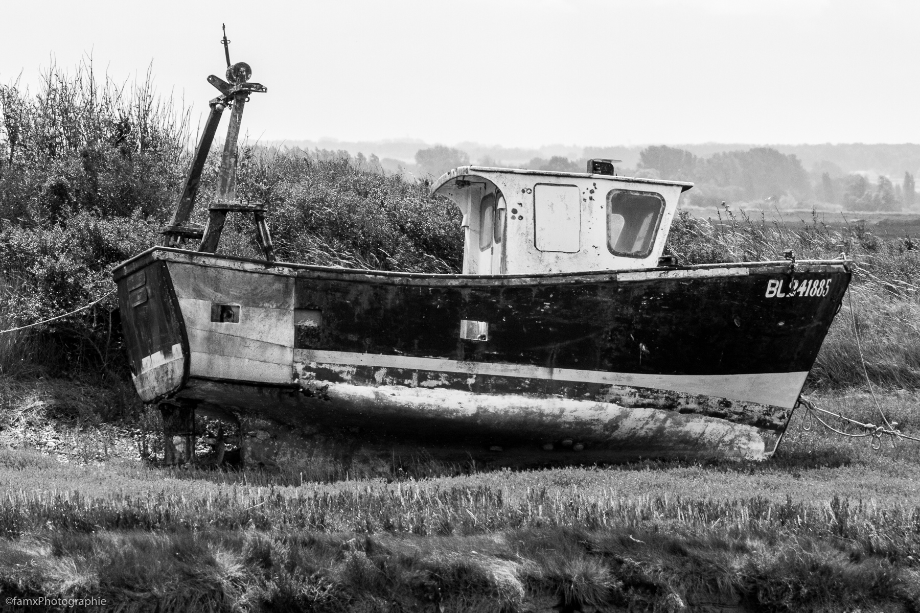 France, Somme (Famx7d20_33404)