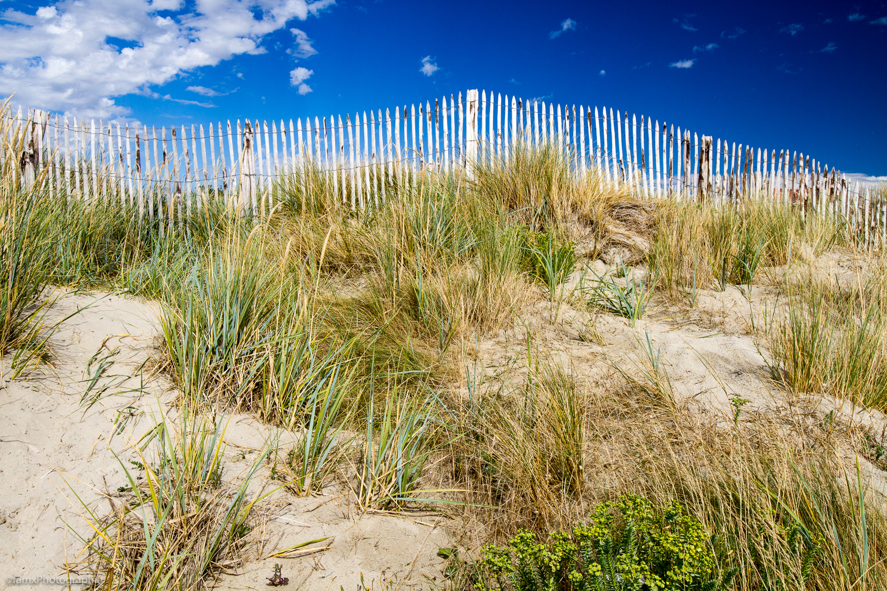 Dune, France, Somme (Famx7dd20_9520)