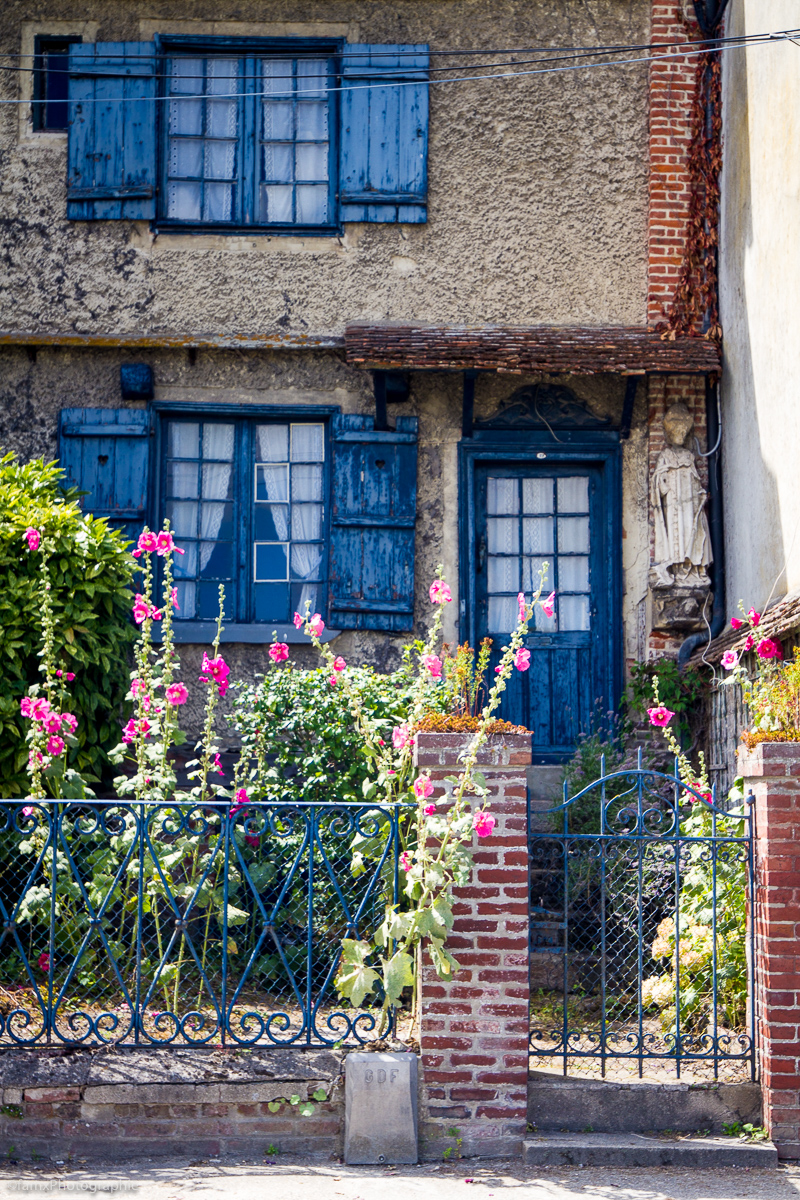 Détail, France, Somme (Famx7dd20_9677)